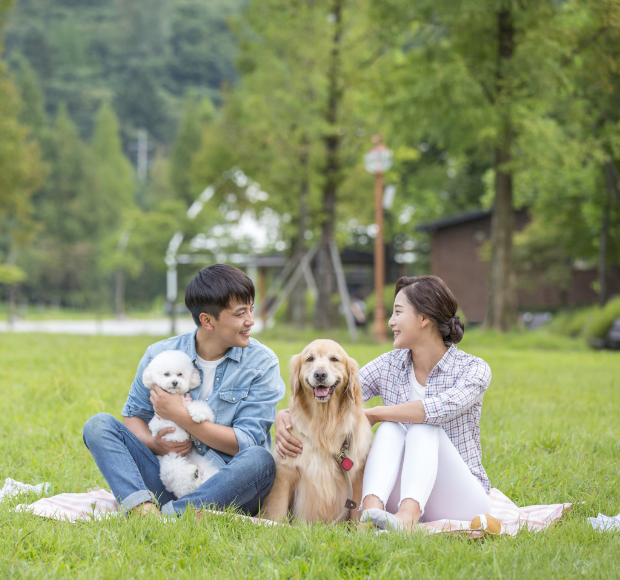 携带伴侣犬外出的遵守事项