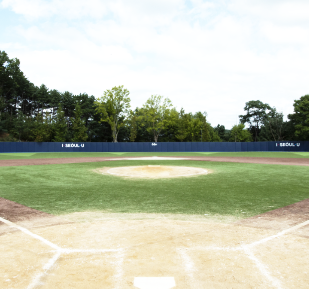 Current Status of Baseball Park.