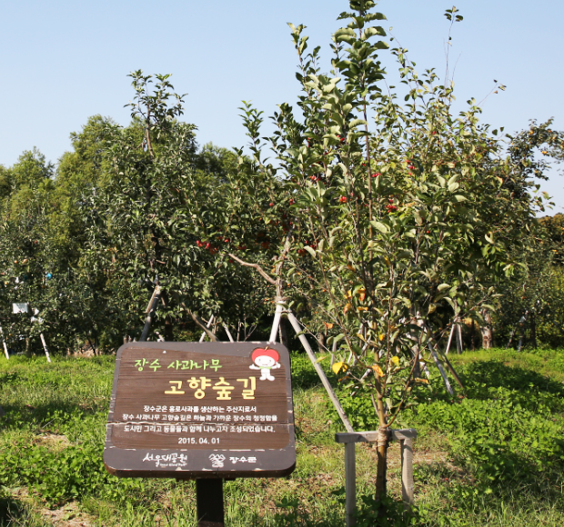 고향정원 오솔길 사진