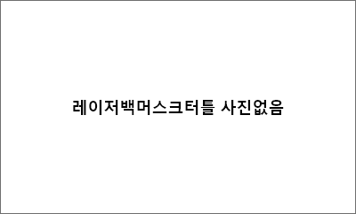 레이저백머스크터틀