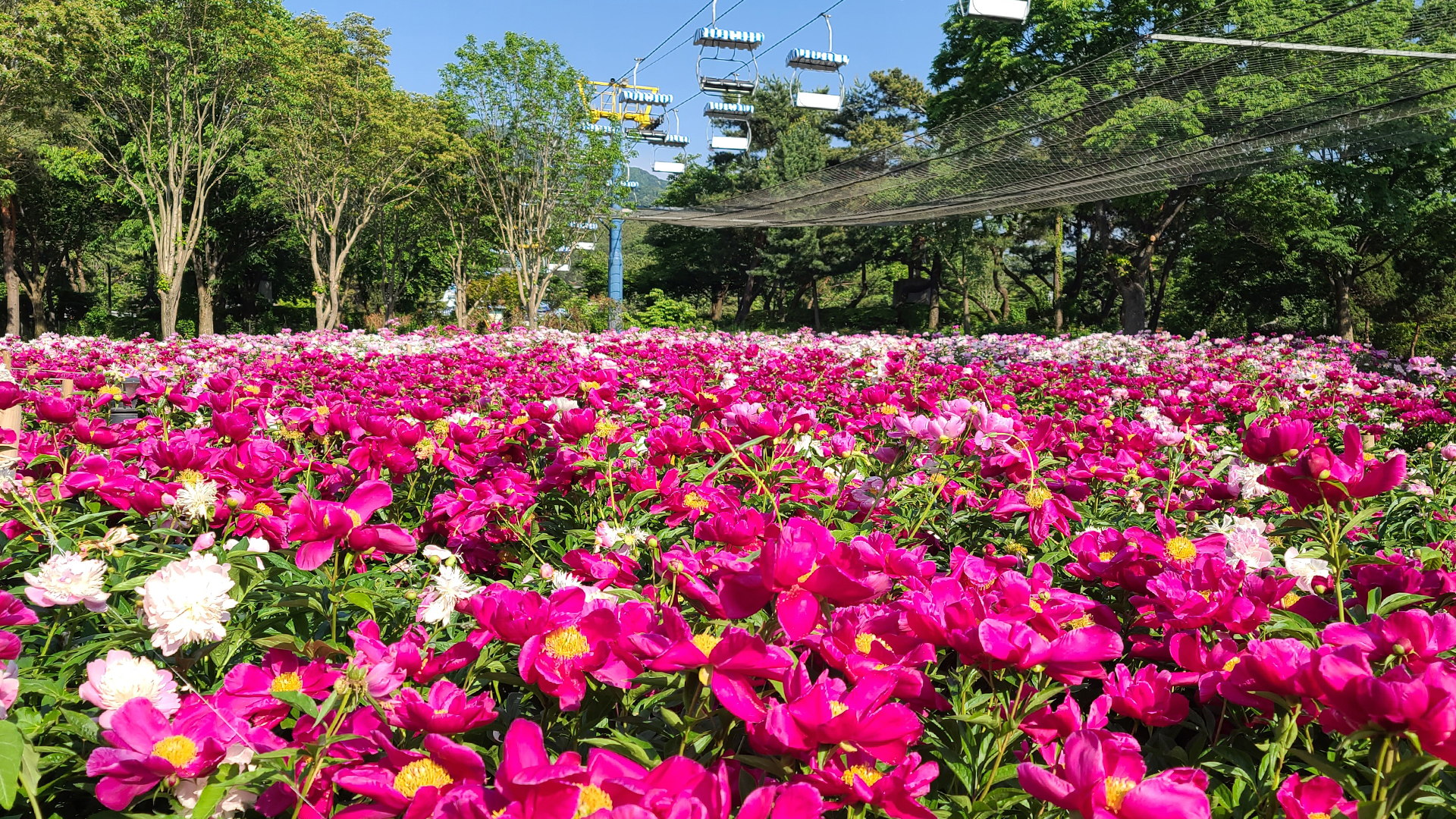 Seoul Grand Park