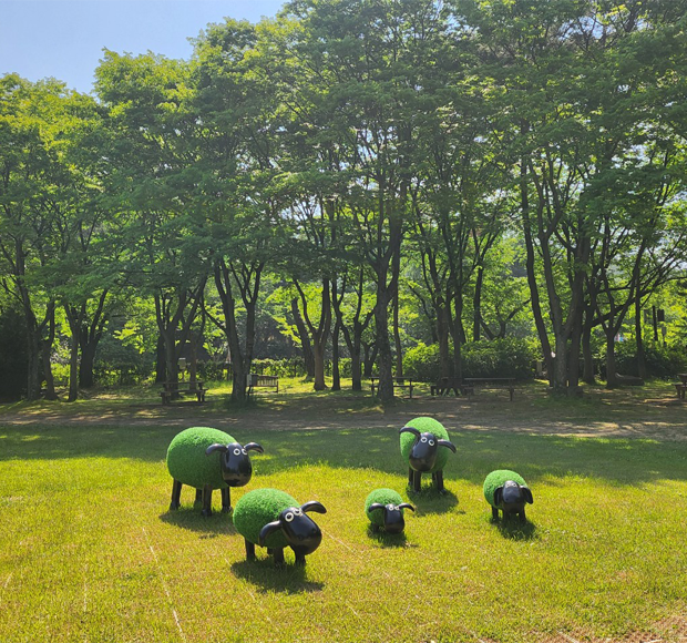 휴정원 잔디밭 사진