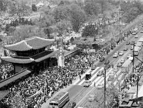 창경원 개원 60주년 이미지