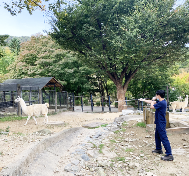 질병예방