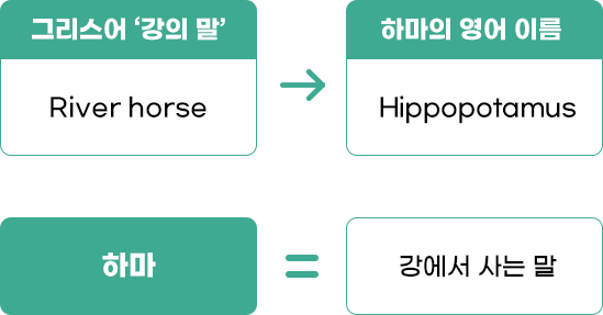 이름의 유래