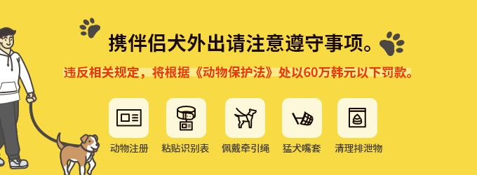 [携伴侣犬外出 请注意遵守事项。] 违反相关规定，将根据《动物保护法》处以60万韩元以下罚款。动物注册 粘贴识别表 佩戴牵引绳 猛犬嘴套 清理排泄物