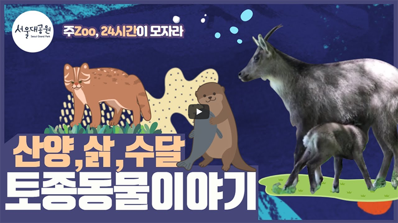 너희는 왜 이름이 없니? 토종동물 이야기ㅣ주ZOO, 24시간이 모자라!