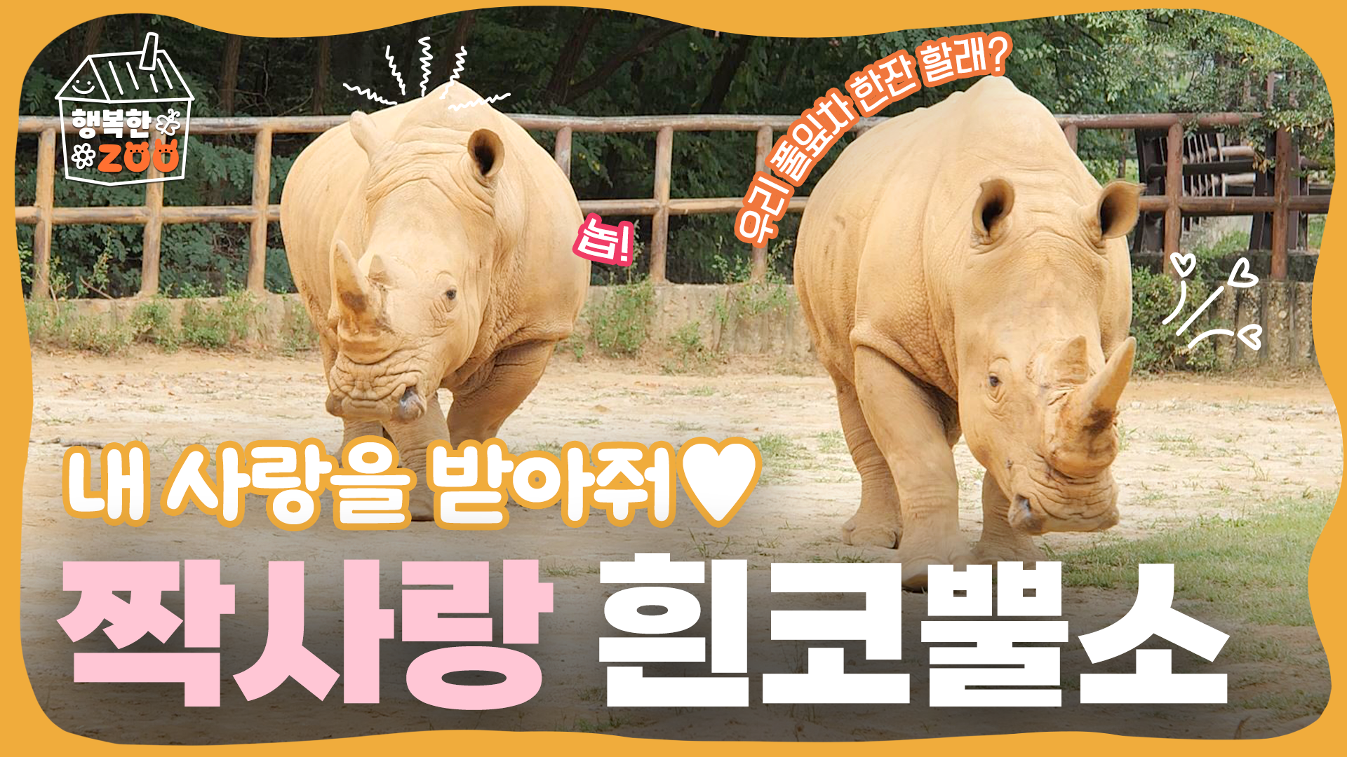 내 사랑을 받아줘💓 짝사랑 흰코뿔소🦏