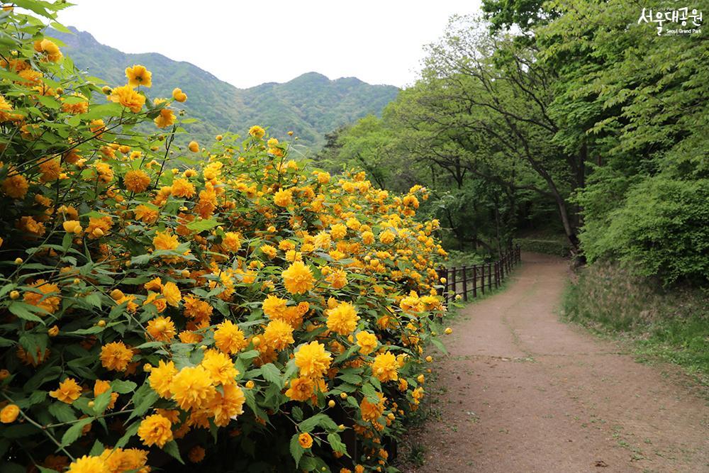 ‘Forest bathing trails’ for perfect strolls in May