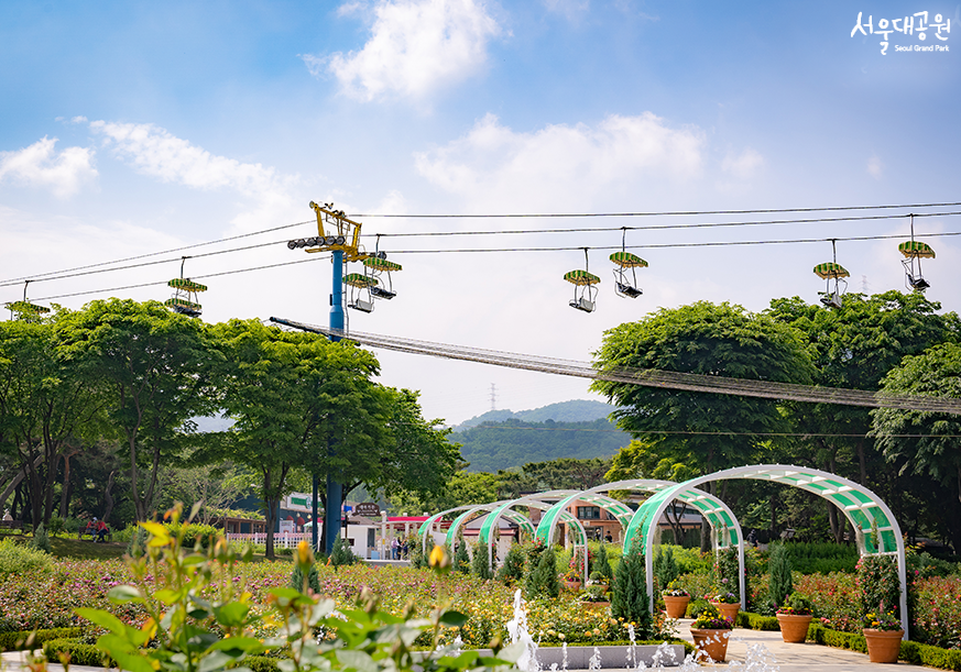 Look around Rose Garden in rose season!