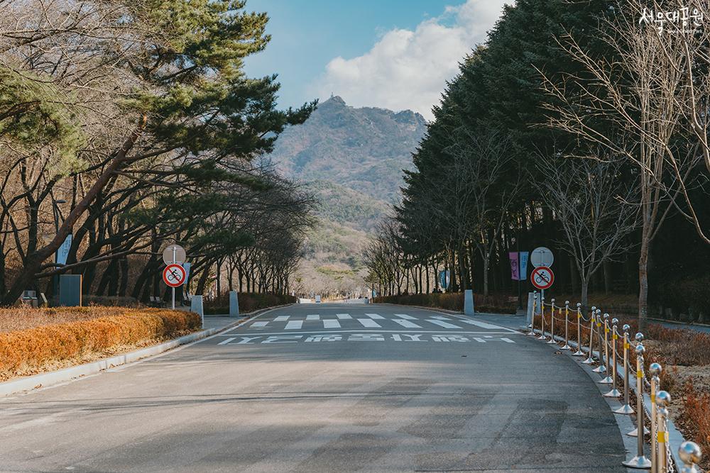 首尔大公园的冬景