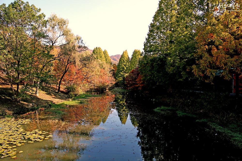 首尔大公园秋景