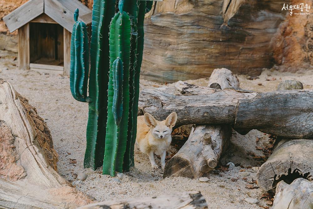 Winter scenery at the zoo