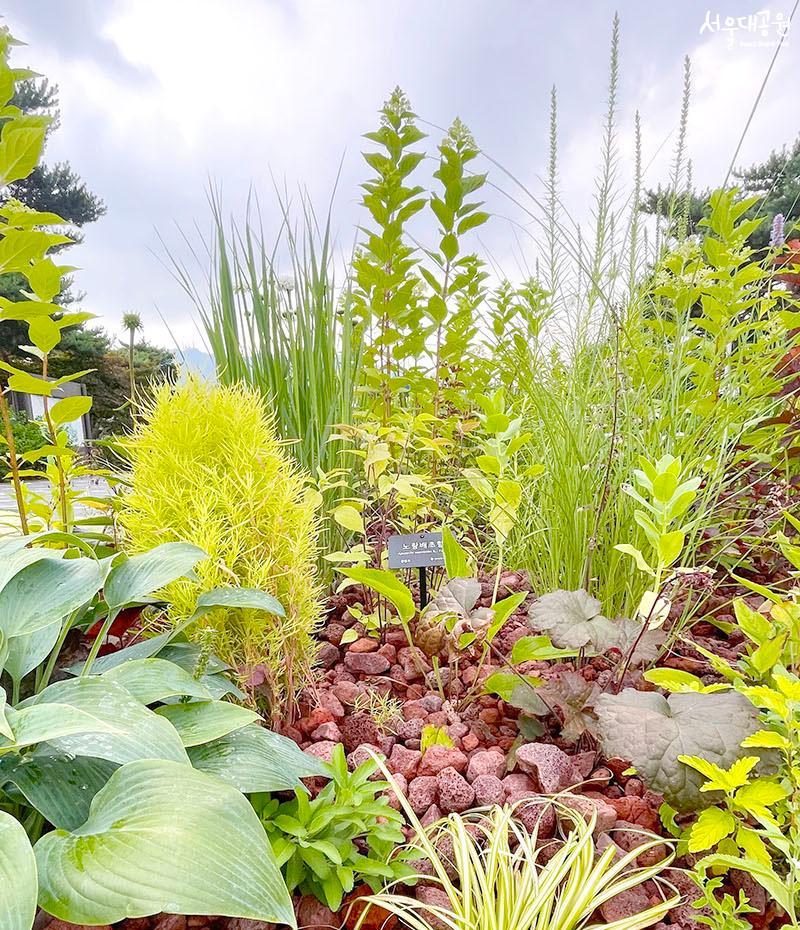 Pop-up garden and photo zone, different look of en