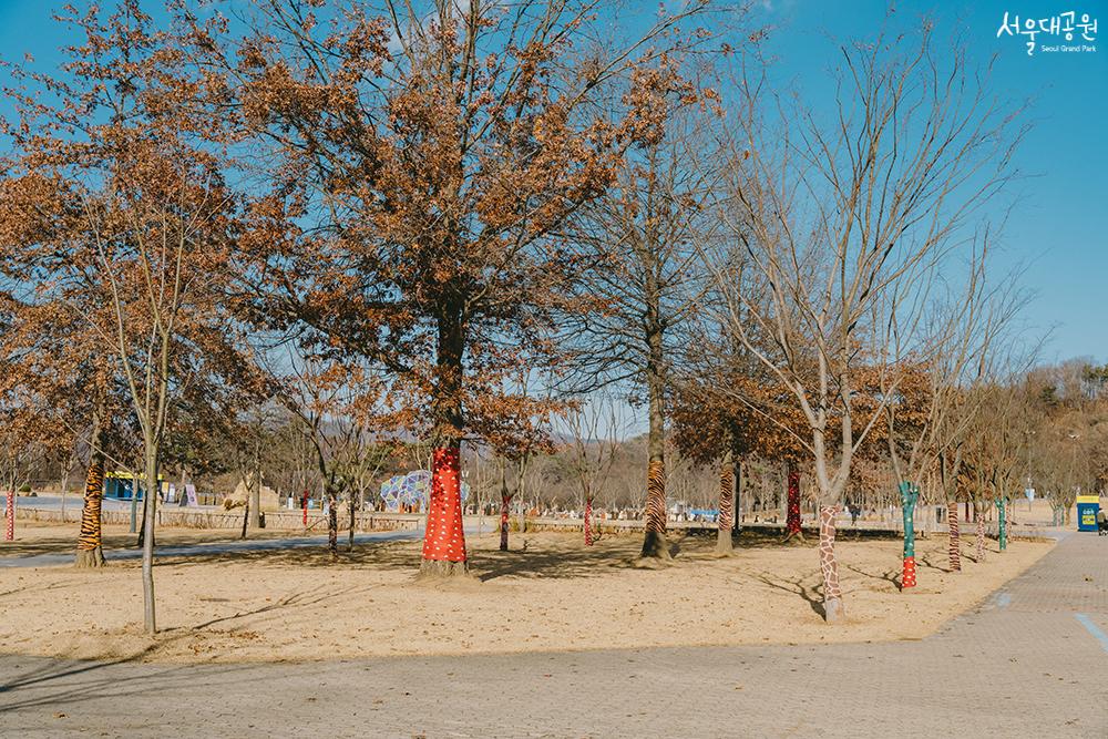 Seoul Grand Park's winter scenery