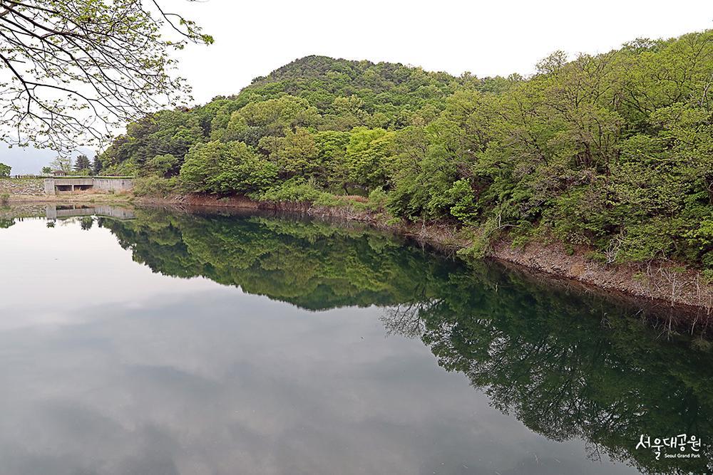 5月，适合散步的“森林浴道”