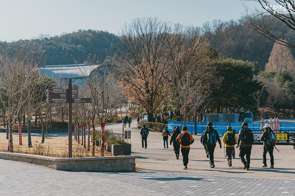 首尔大公园的冬景