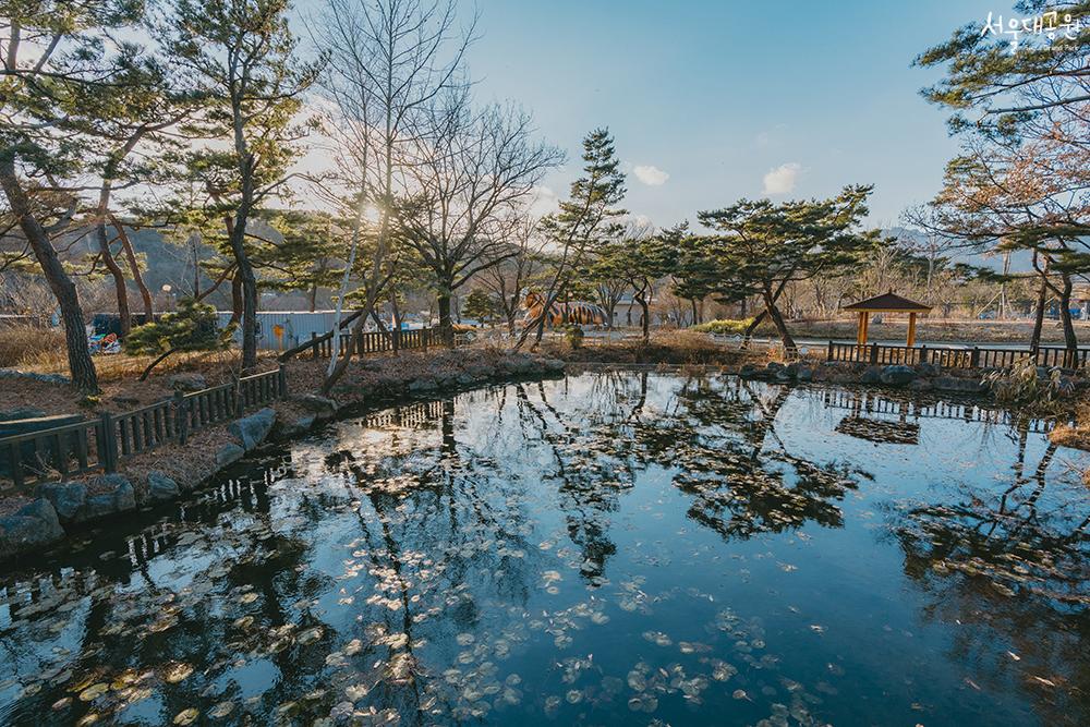 Winter scenery at the zoo