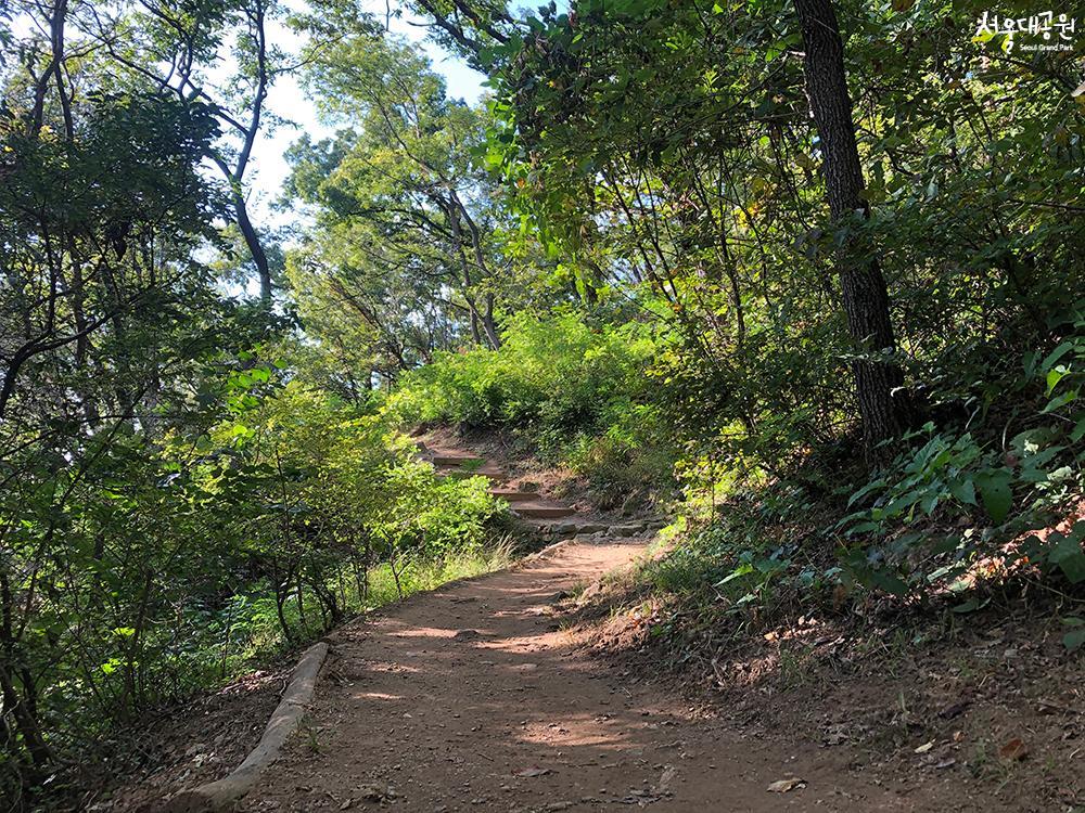 ‘Forest bathing trails’ for perfect strolls in May