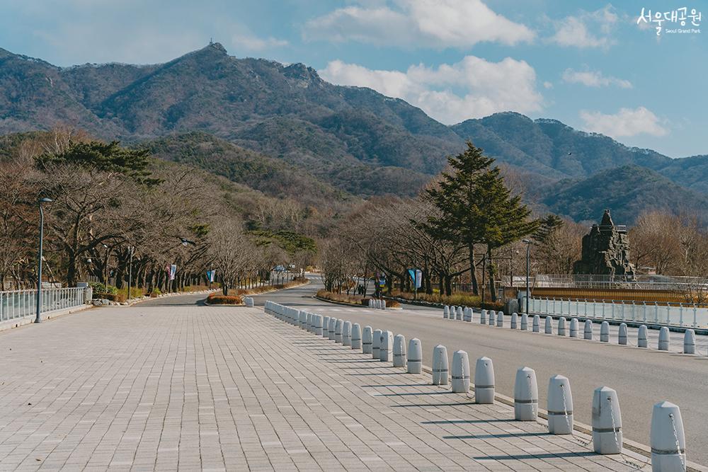 首尔大公园的冬景