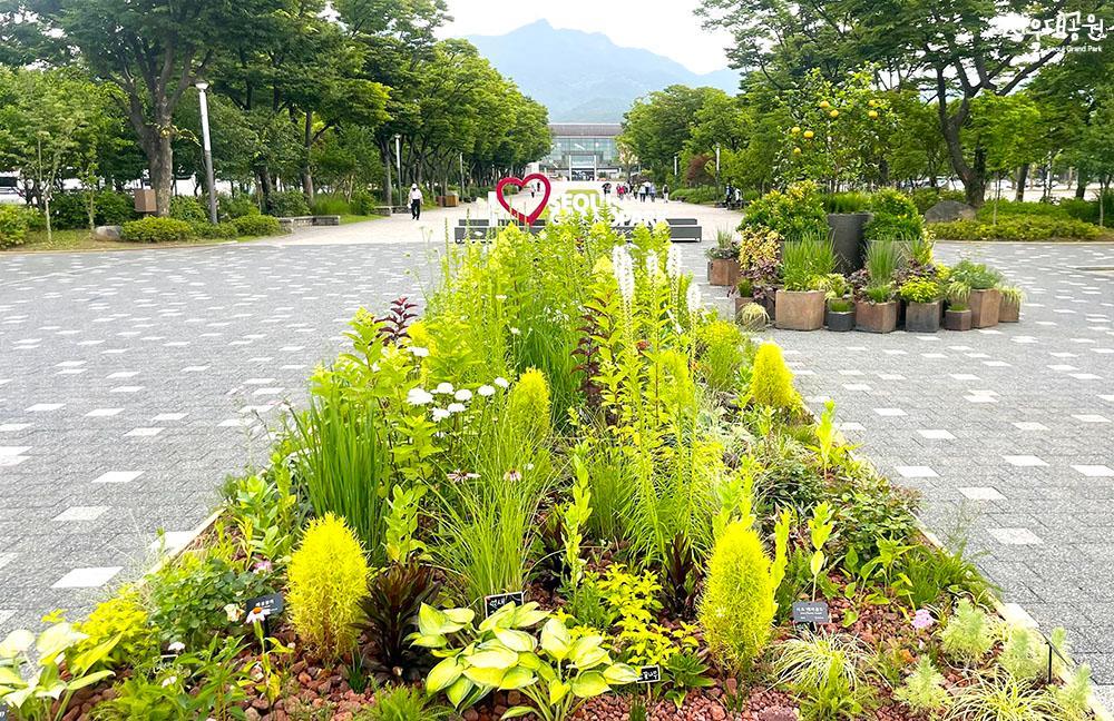 Pop-up garden and photo zone, different look of en