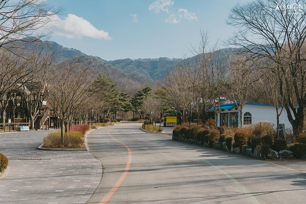 Winter scenery at the zoo