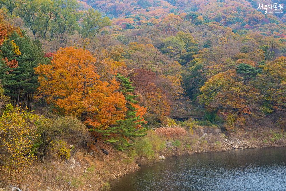 Autumn scenery at Seoul Grand Park