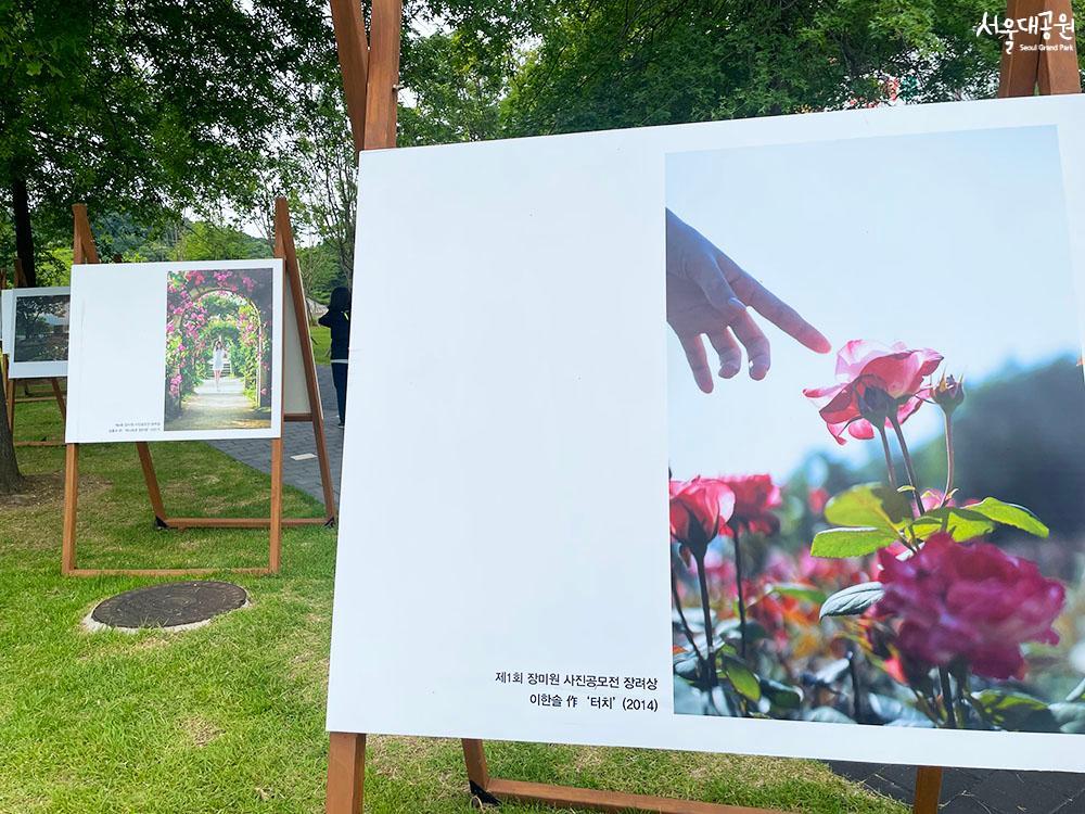 Exhibition of Rose Garden Photo Contest winners’ p