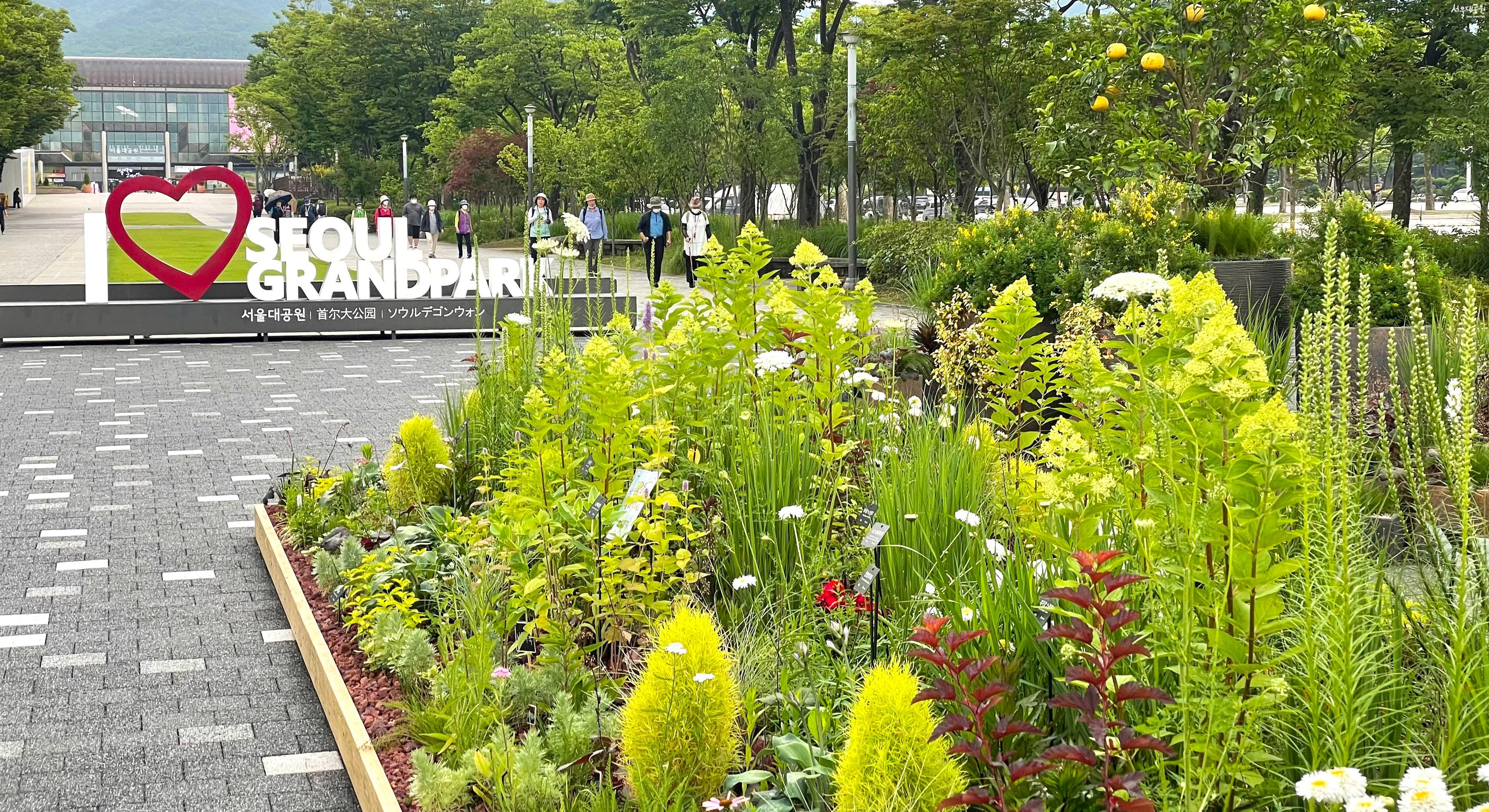 Pop-up garden and photo zone, different look of en