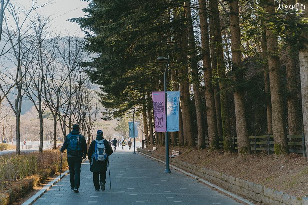 首尔大公园的冬景