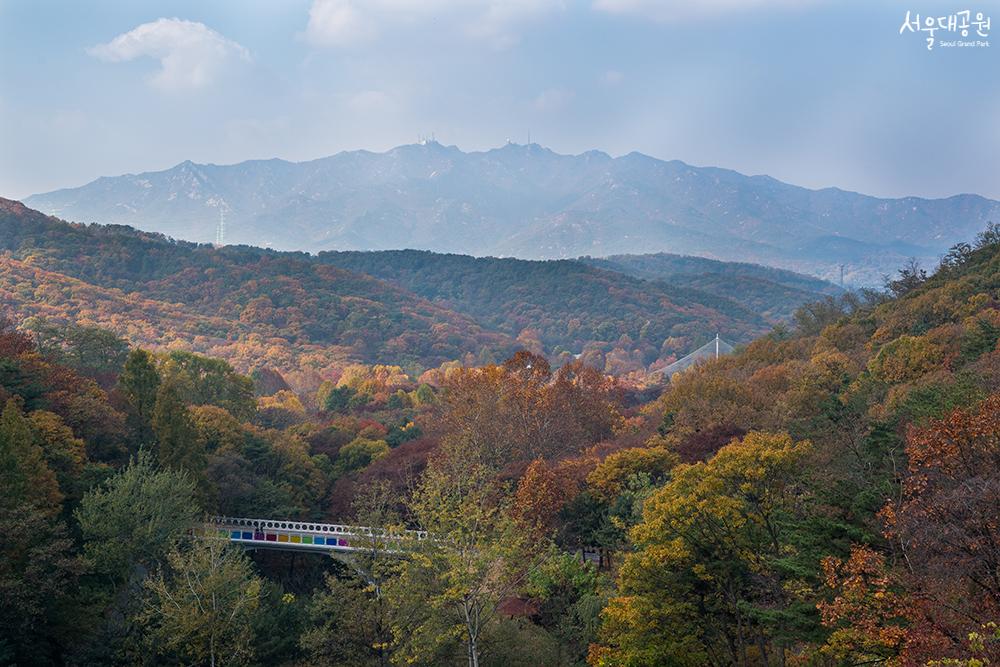 首尔大公园秋景