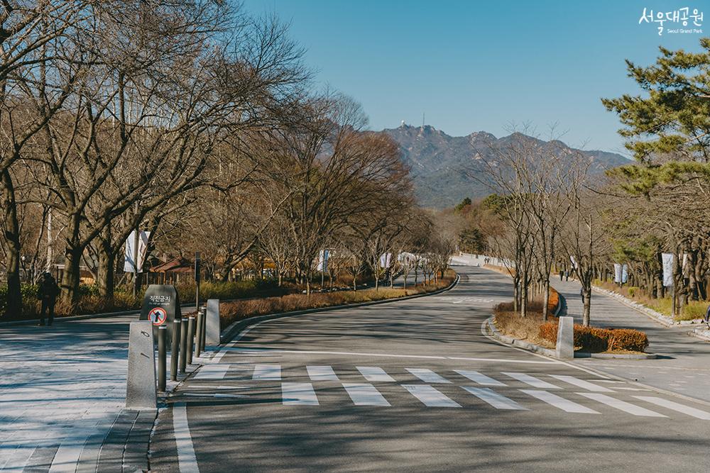 首尔大公园的冬景