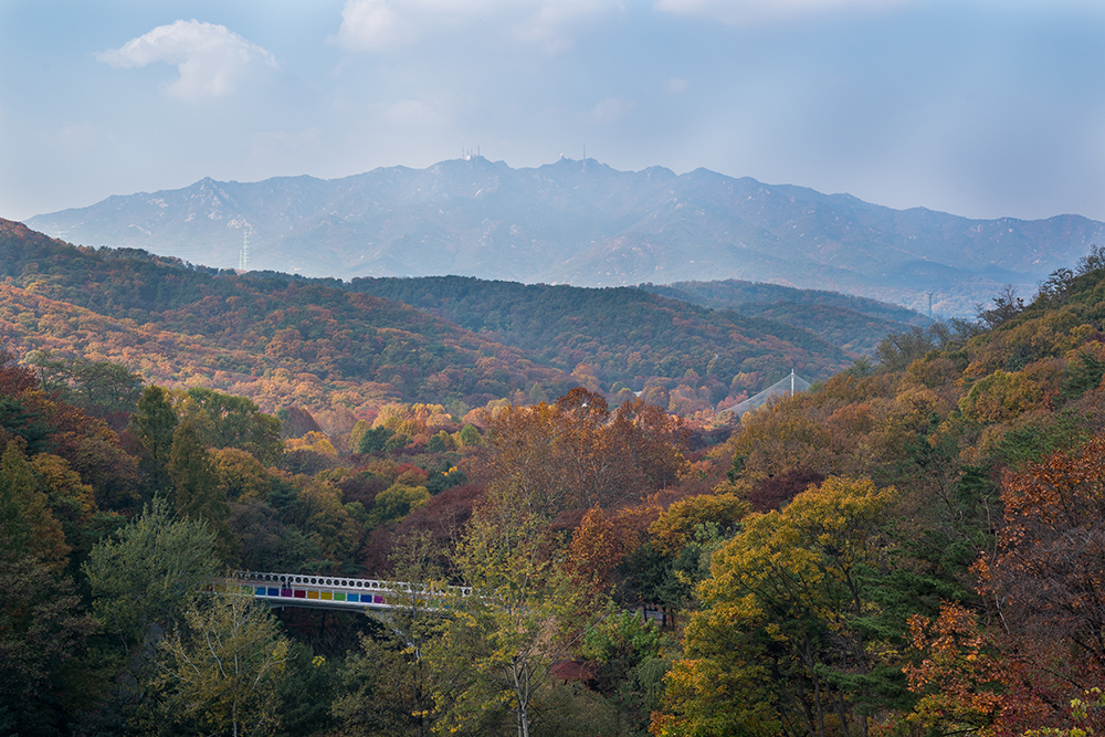 首尔大公园秋景