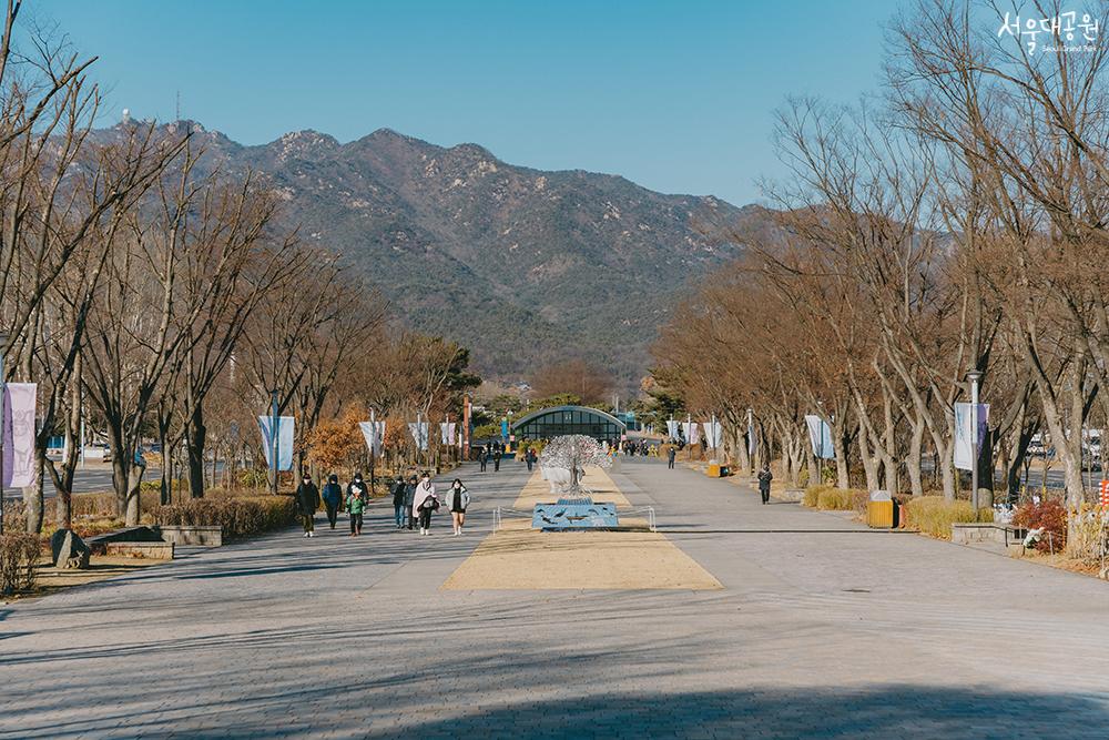 首尔大公园的冬景