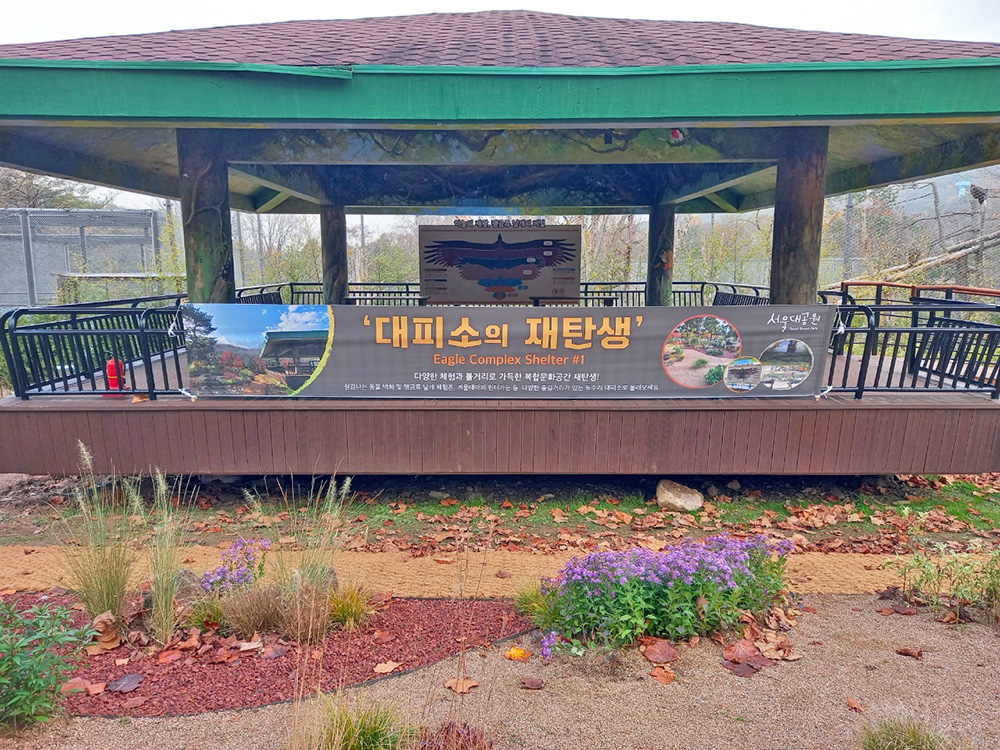 Transforming into "Winter Garden" at Maenggeumsa Temple shelter!