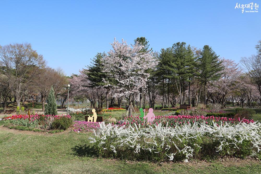 春日花卉盛开，主题花园休庭院